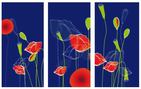 Tableau ardoise coquelicot